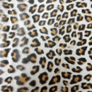 Swafing Regensburg Prints Folie Leo Design