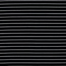 Jersey Stoff Streifen Swafing Isa schwarz