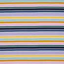 Jersey Stoff Streifen bunt