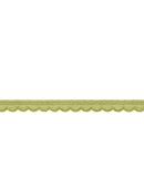 Elastic-Abschlusslitze 8mm Apfelgrün